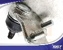 43330-09680 -3.webp