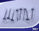 13711-33031 -1 ( NET ).webp